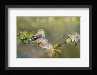 Goldfinch In The Garden Fine Art Print