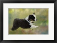 Puppyhood 2 Framed Print