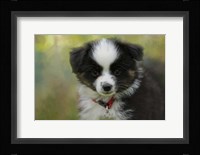 Puppyhood 3 Fine Art Print