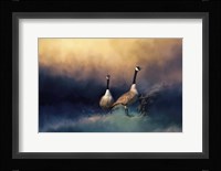 Stranded Fine Art Print