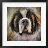 The Saint Framed Print