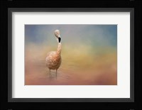 Flamingo Friday Fine Art Print