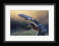 Flight Of The Green Heron 2 Fine Art Print