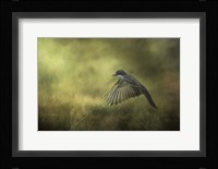 Hovering Fine Art Print