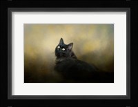 In The Garden Light Fine Art Print