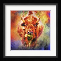 Jazzy Buffalo Framed Print