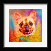 Jazzy French Bulldog Framed Print