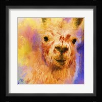 Jazzy Llama Framed Print