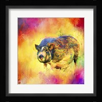 Jazzy Pig Framed Print