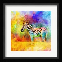 Jazzy Zebra Framed Print