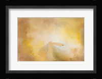 Late Magnolia 1 Framed Print