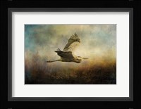 Low Flyer Fine Art Print