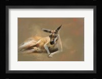 Monday Morning Drowsies Framed Print