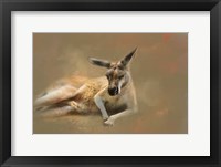 Monday Morning Drowsies Framed Print