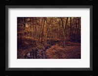 Shiloh Creek 4 Fine Art Print