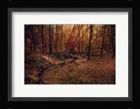 Shiloh Creek 6 Fine Art Print