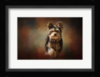 Step Into Autumn Fine Art Print