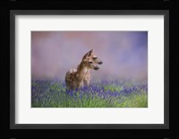 Twin Fawns In The Lavender Fine Art Print
