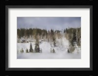 Winter Impressions In Colorado 8 Fine Art Print