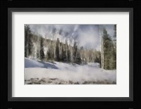 Winter Impressions In Colorado 9 Fine Art Print