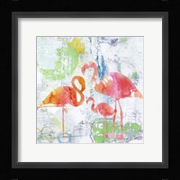 Troical Flamingos Fine Art Print