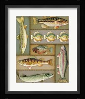 Wilderness Lodge-M Fine Art Print