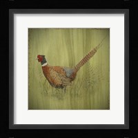 Wilderness Lodge-Q7 Fine Art Print