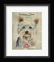 Yorkshire Terrier Fine Art Print
