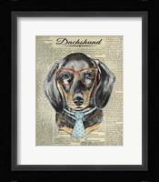 Dachshund Framed Print