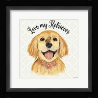 Golden Retriever Framed Print