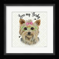 Yorky Framed Print