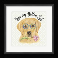 Yellow Lab Framed Print