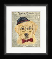 Yellow Labrador Framed Print