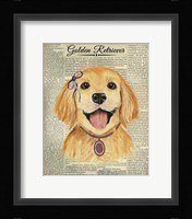 Golden Retriever Framed Print