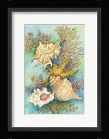 Shells in the Deep Green Sea Fine Art Print