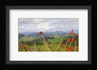 New Zealand 5 Fine Art Print