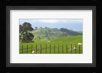 New Zealand 7 Fine Art Print