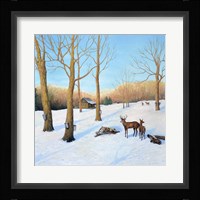 Winter Cabin Fine Art Print