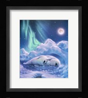 Harmony Baby Seals Framed Print