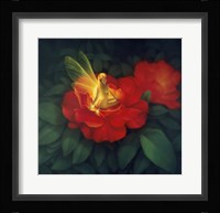 Night Light - N Framed Print