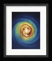 Pisces Fine Art Print