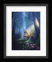 Secret Forest Fine Art Print