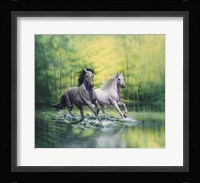 Spring Morning Fine Art Print