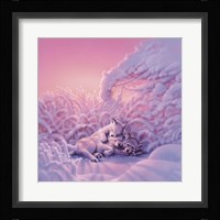 Sweet Dreams Fine Art Print