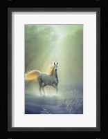Touched By The Aurora Framed Print