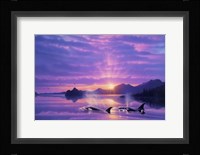 Tranquility Bay Framed Print