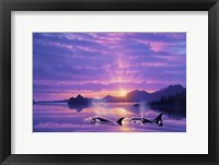 Tranquility Bay Framed Print