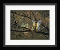 Feathered Friends - C Fine Art Print