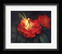 Night  Light - C Fine Art Print