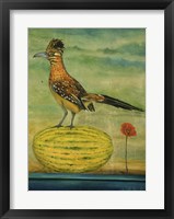 Roadrunner Fine Art Print